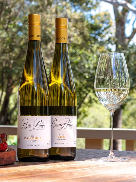 New Release 2024 Single Vineyard Hunter Valley Semillon