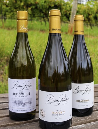 Best Chardonnay Bundle Ever