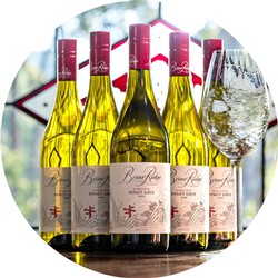 2023 'Which Way' Pinot Gris 6-Pack